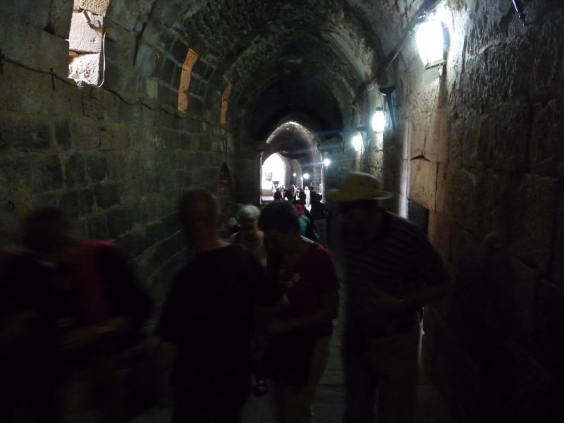 P1020948.JPG